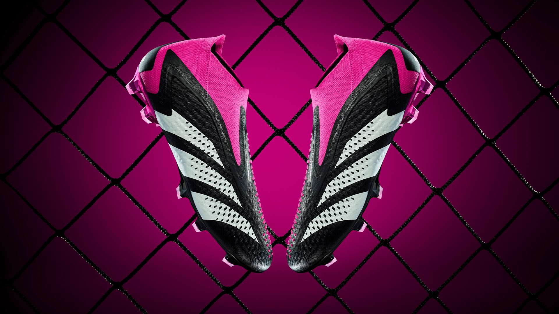 中锋的全能 中锋的全能